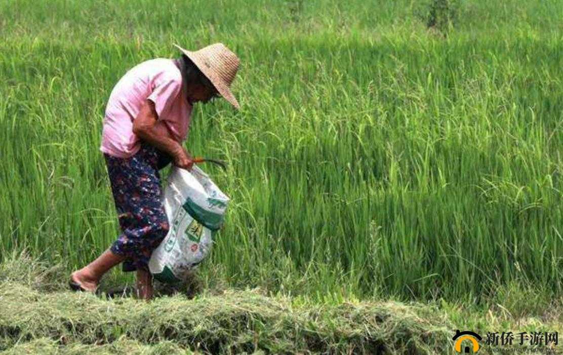 种地：耕耘妈妈的富饶黑土