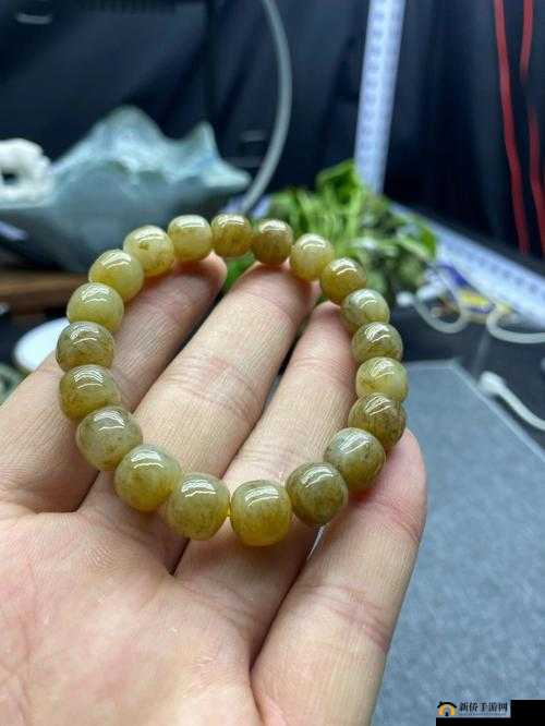 杨大壮和田桂花的第二十九：精彩继续