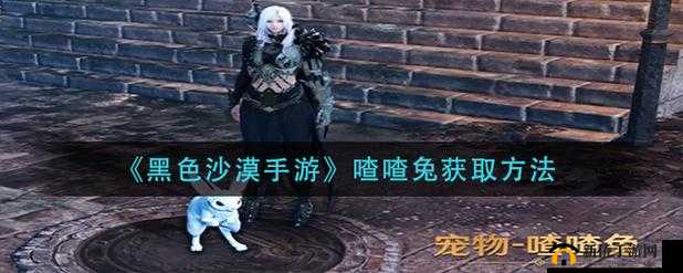 黑色沙漠手游喳喳兔获取攻略：详解喳喳兔的获取方法与技巧