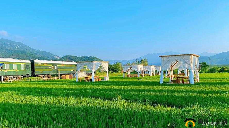 免费积枳桶积枳大全：内容丰富，等你来探索