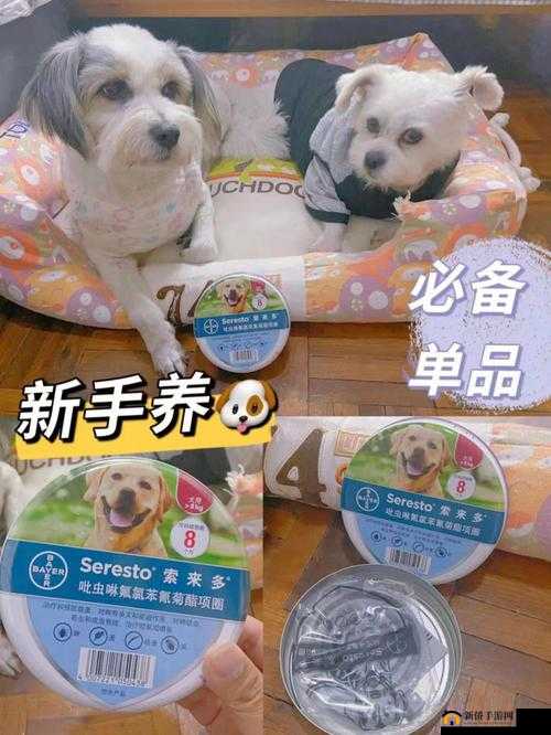 人狗胶配方大全狗狗一天吃多少：详细解读