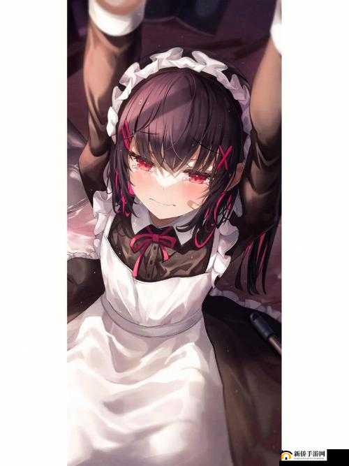 二次元拔萝卜逍遥阁：趣味横生的二次元世界