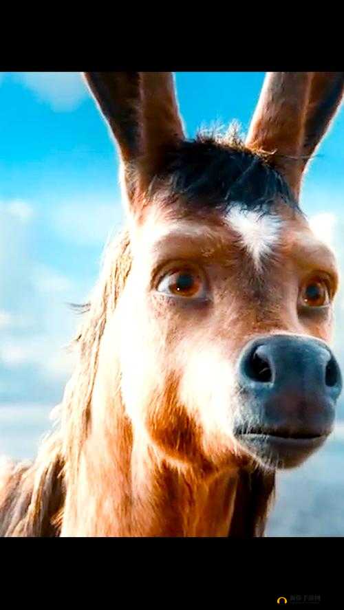 小毛驴影视在线观看：海量高清影视免费畅享