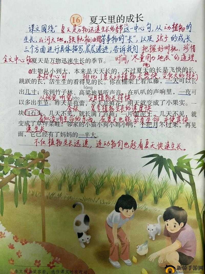 六年级夏天女生袖子里的秘密