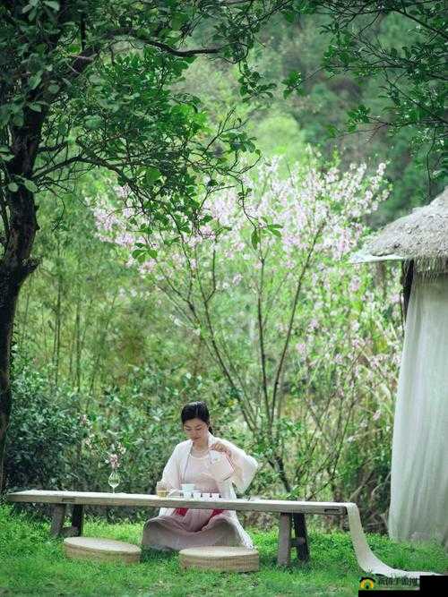 傅先生养花日常：偷得浮生半日闲