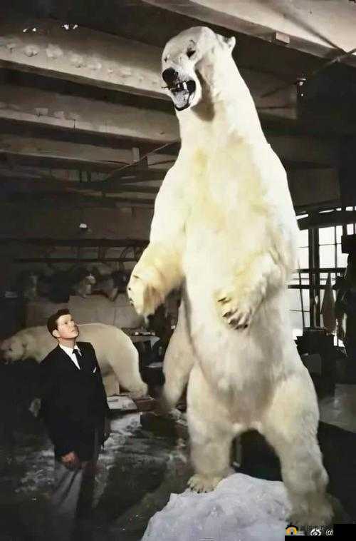 牲杀真的好玩吗？——深度解析牲杀的历史现状与内涵