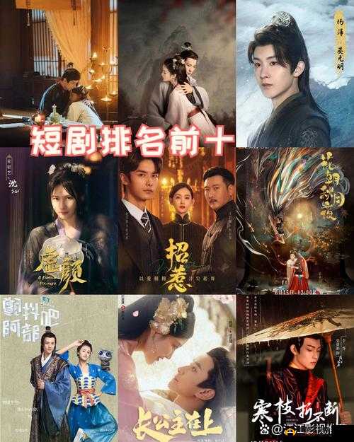 暗卫营大型 HPN：神秘而强大的存在