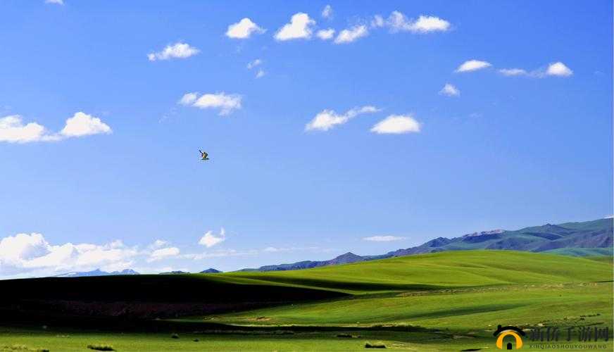 丰裕纵横：探索广阔天地的奥秘