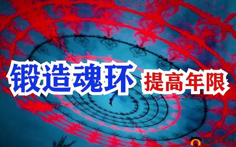 斗罗大陆魂王的魂环为何如此神秘？探寻魂环的获取之地