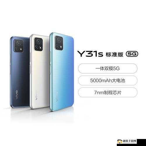 成色好的 y31s：超值二手手机