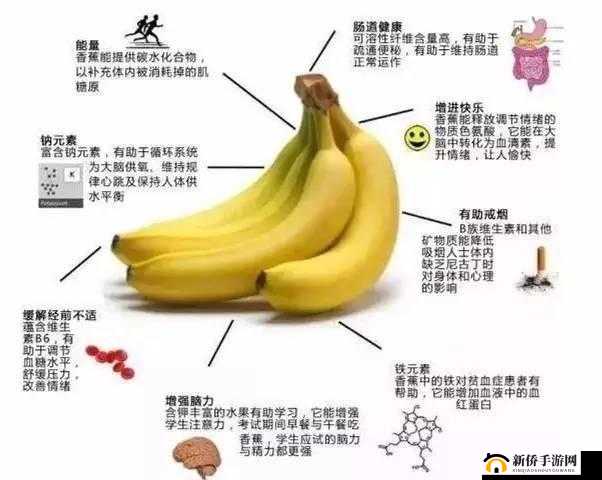 香蕉和忘忧草对焦虑的影响：一种天然的缓解方法