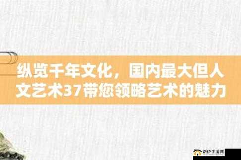 37 大但人文但任份：相关解读