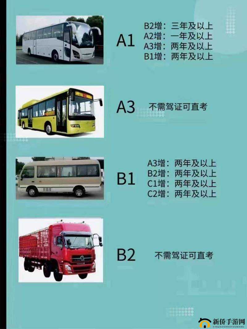 国产 A1a2a31 的独特魅力