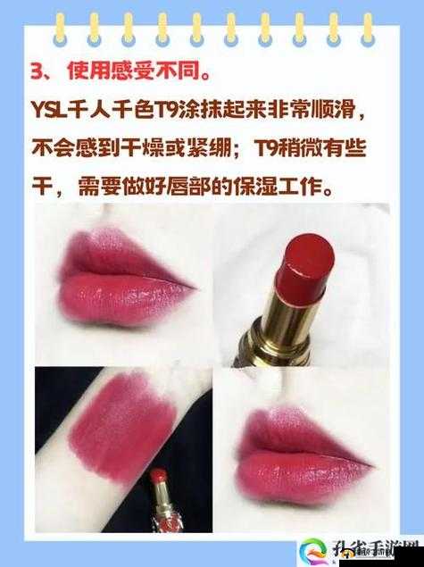 YSL 千色 T9T9T9 观看范围：全新视角解读