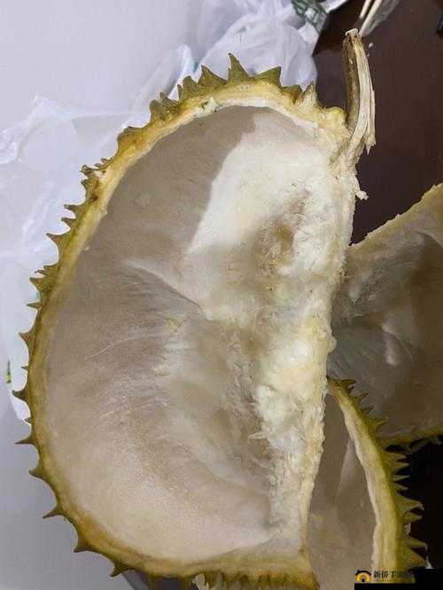 每天都在汆肉中醒来奶油尖尖：这是怎样的体验