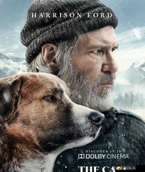 《猎人野性的呼唤：深入解析埋伏技巧指南》