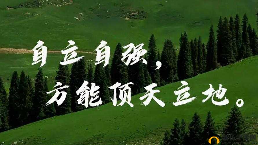 看了就会立的图片：站立的书：激励你成长的启示