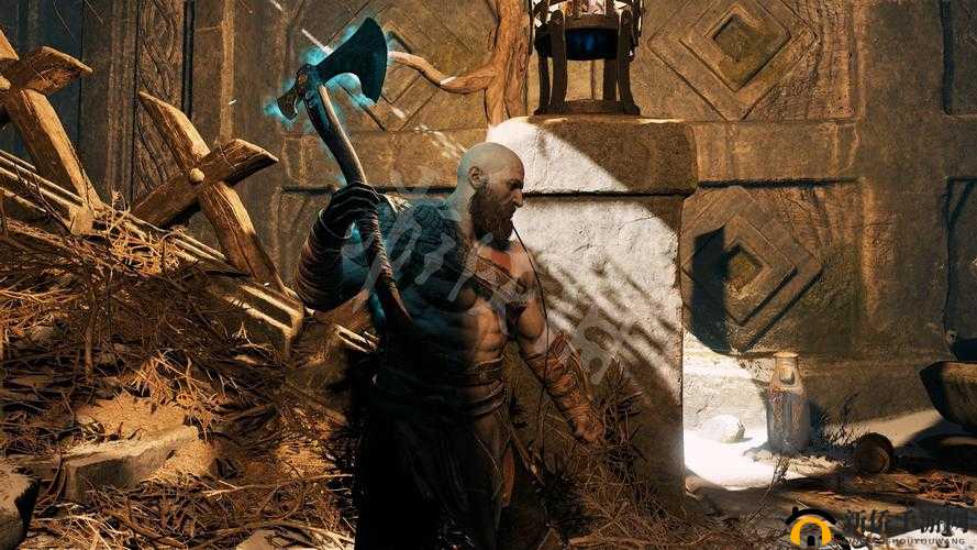 乱斗之王女武神：技能背景全解析与精彩介绍