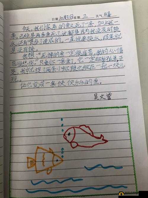 李诗莹的日记：成长中的点滴与思考