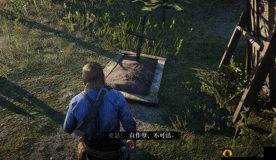 荒野大镖客暴躁老太太的奇妙冒险