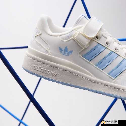 三叶草 gy5986 的独特魅力