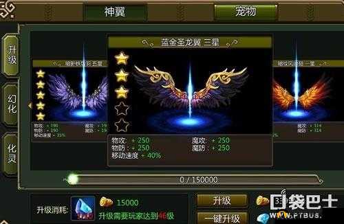 《龙之守护》神翼功能全面解析：神翼用法详解与实战指南