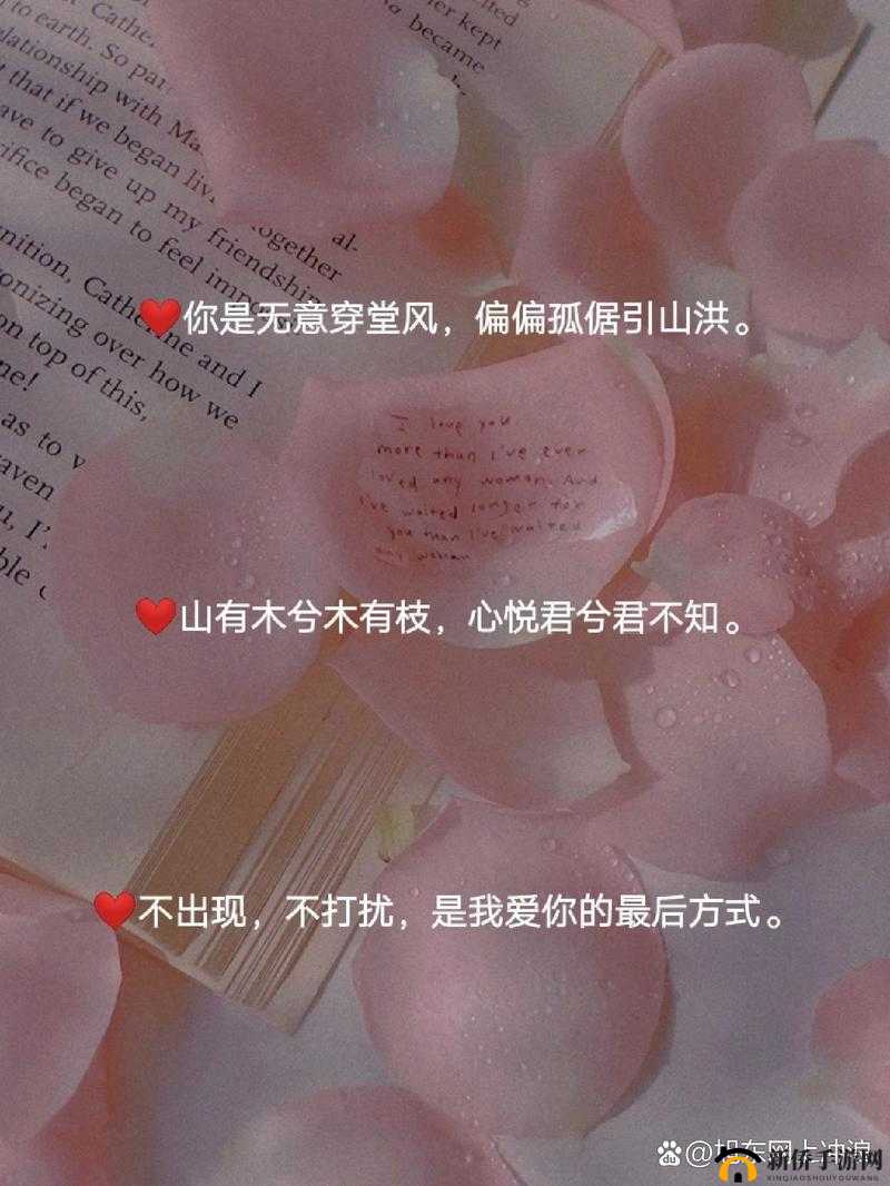 聚焦鏆楅粦鐖嗘枡瀹樻柟鍏ュ彛 51：探寻背后的故事