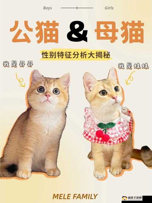 涓闃村悶涓ら槼鎬庝箞鍋氱殑教程