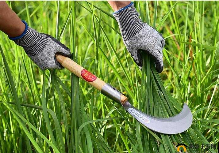 9.1 镰刀锉 V 刀.apk：危险软件，请勿下载