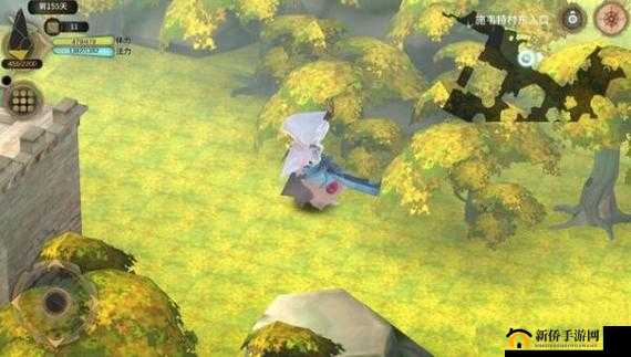 魔女之泉3施伟特城隐秘狗洞探索攻略：入口位置与进入方法全解析