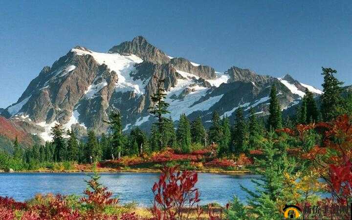 4399 鍦ㄧ嚎瑙傜湅瑙嗛態 D 楂樻竻：精彩内容呈现