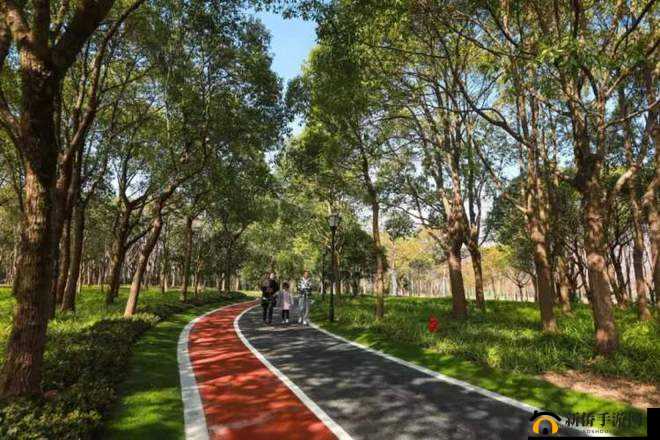 鍥涘彅涓娆″張涓娆＄储鍙栫洓骞：其含义解析