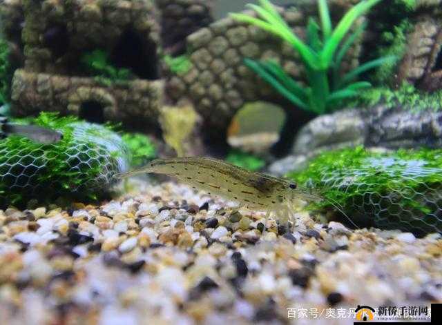 鏈嬪弸鎹㈠ǘ濡诲悗鐨勭敓娲诲彉鍖栧垢绂忔棤姣之探讨