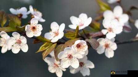 濡堝堝凡缁忔槸浣犵殑濂充汉浜嗘瓕鏇：爱的倾诉