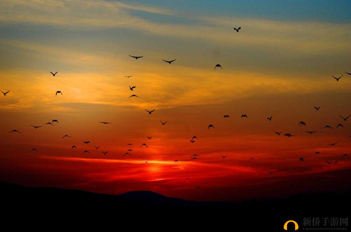 鍏閲嶇炲瓙鎵ｅ竵鍑鸿：探索未知的奇幻之旅