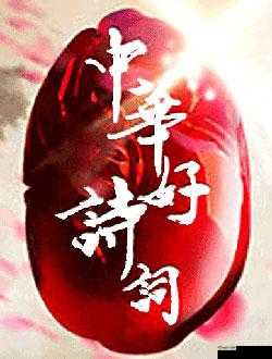 鍏浜よ溅涓娆″張涓娆的独特故事