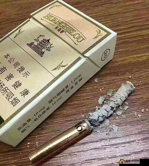 鐢锋妧甯堝ぇ濂：令人敬仰的存在