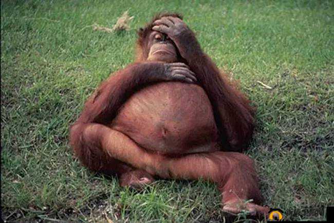 铦岃毆绐漻 xx 之相关探讨