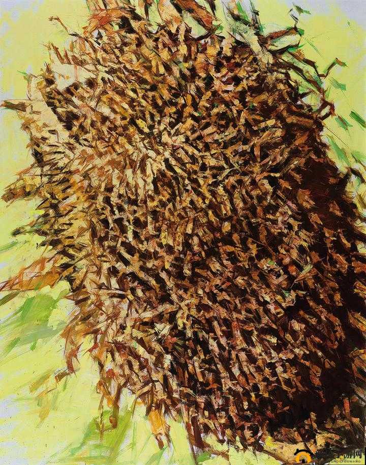 鐢峰コ鈪X 之特别篇