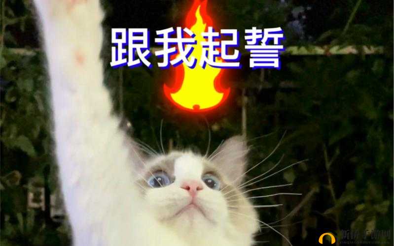 澶哄嵖浜 ru 鏄撴槶：关于它的探讨