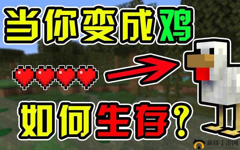 鍙岃烦 dan 鎬庝箞鐢ㄦ斁鍦ㄥ摢