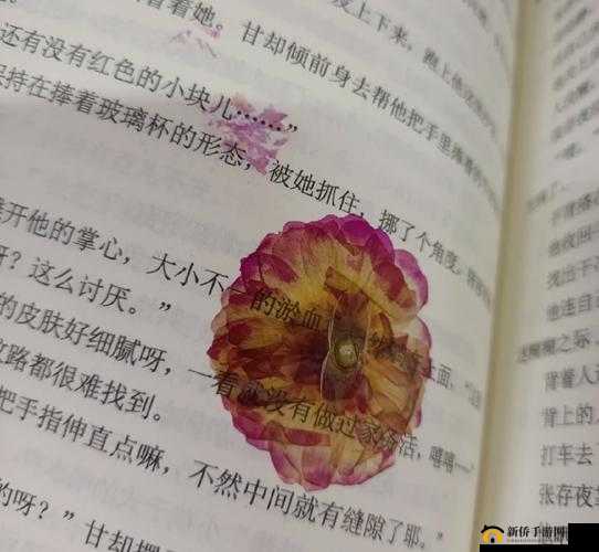 鍥戒骇涓鍗2鍗3鍗″洓鍗″摂鍝╁摂鍝：神秘之语