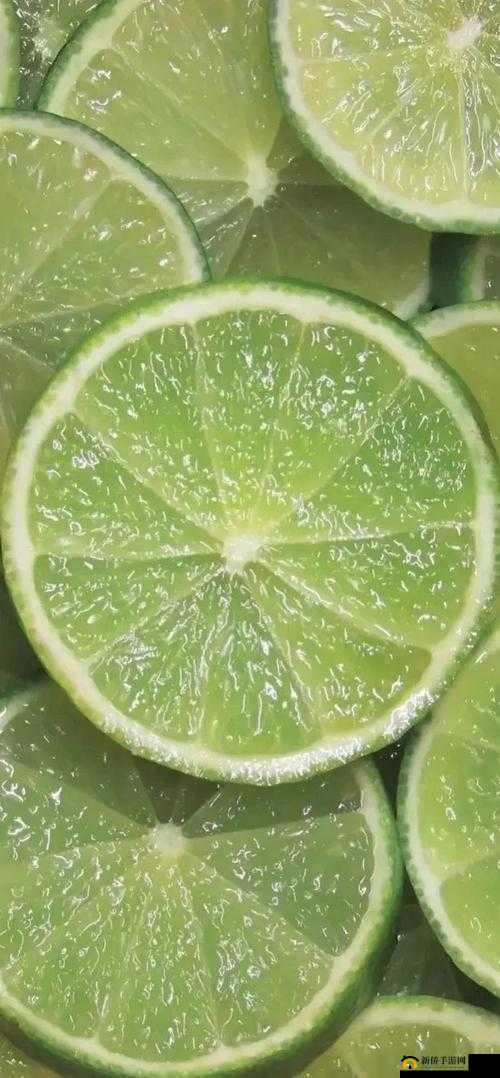 14may18_XXXXXL56endian 绠浠相关内容探讨