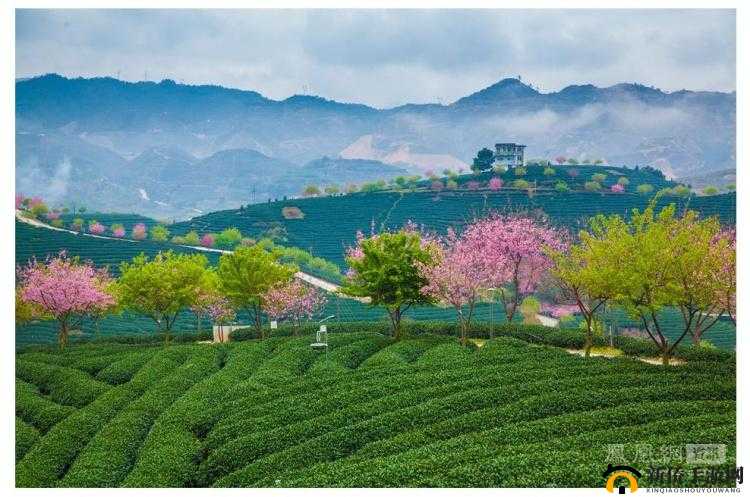 2024 鎴愬搧鐭瑙嗛慳 pp 涓嬭浇鐢靛奖：观影好去处