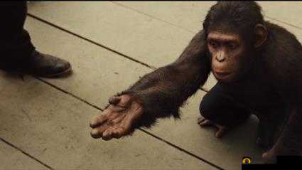 鐚涚敺cao瀛曞：探索未知的奥秘