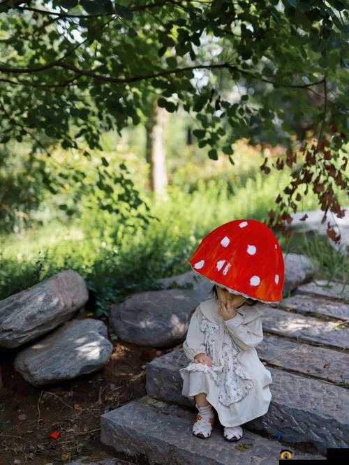 铇戣弴瑙嗛戝悆鐡滅垎鏂：神秘独特之物