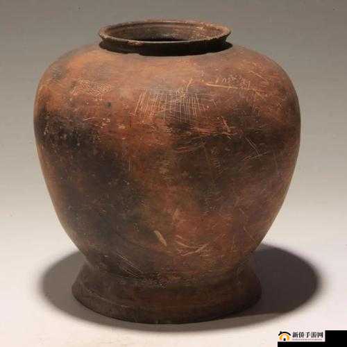 寮犵遍洦寮犲紑鑵：神秘而独特的存在