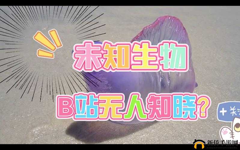 鎺㈢樺浗绮句骇鍝乄鐏婧愮爜16：探索未知的神秘世界