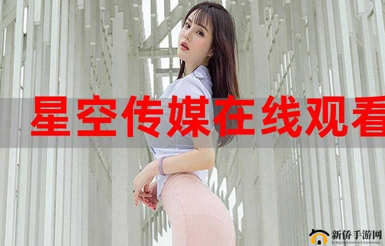 星空传媒 XK8004：功能强大的多媒体播放器