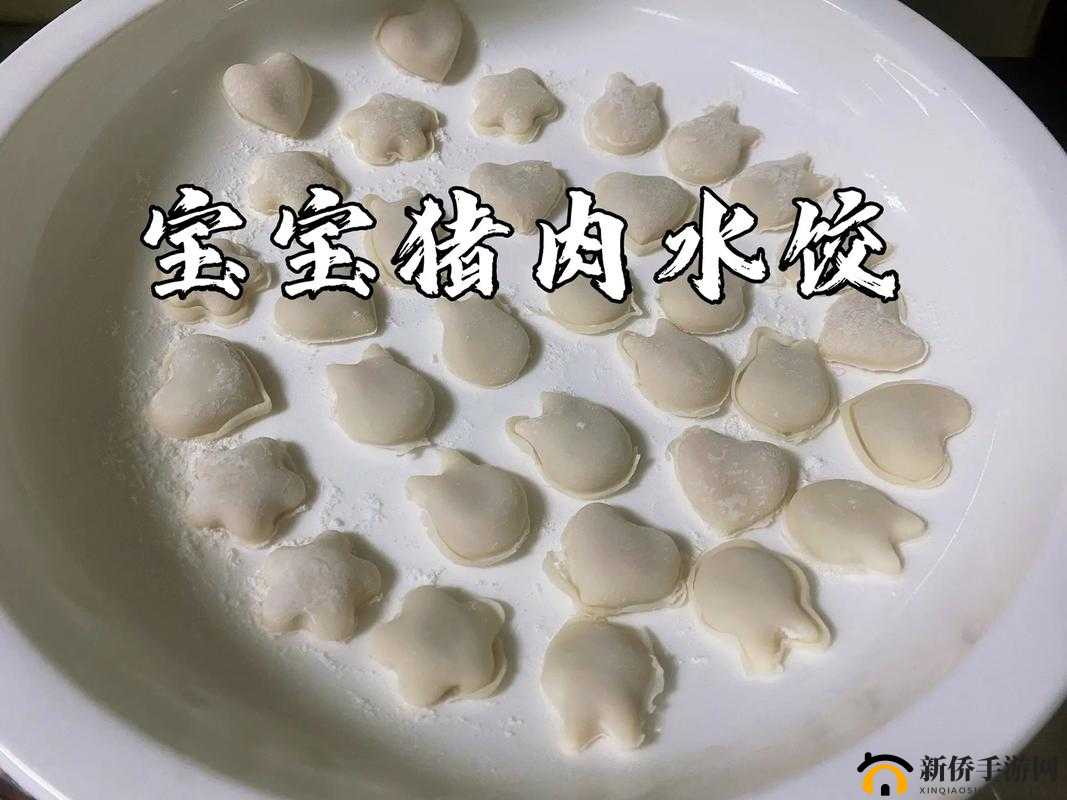 课后辅导 po 肉馅小水饺：美味与知识的交融